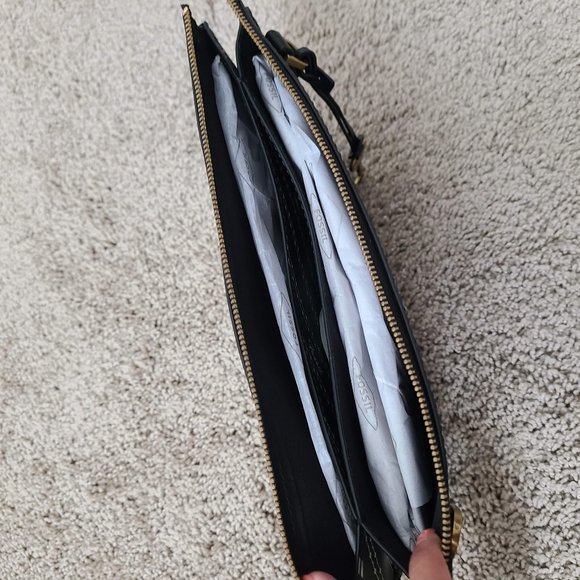 Organic Cactus Fossil Kier - Picture 11 of 16